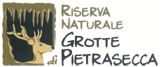 Grotte Pietrasecca